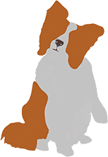 Lev-Women-21_0021_Lev-Dog-1